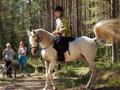 Верховая езда для взрослых и детей в Вырице, Гатчинский район. Иппотерапия. Фотосессии с лошадьми.